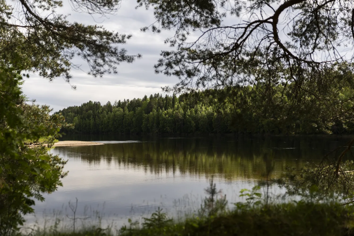 Vy över sjö i vindeln