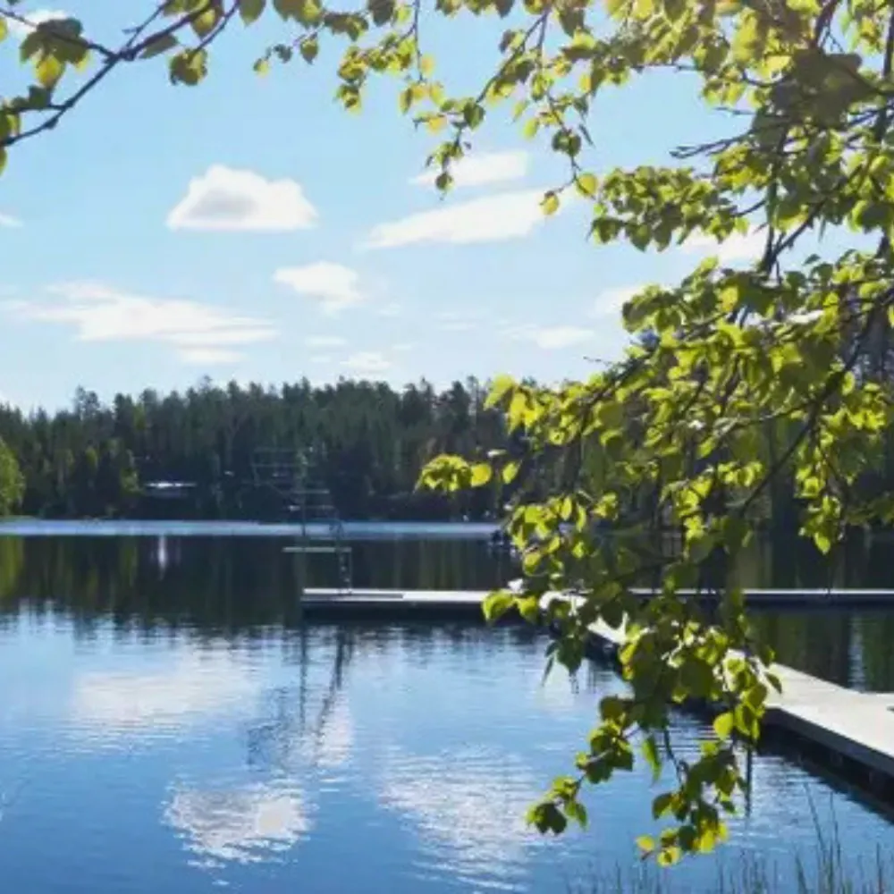 bryggor med hopptorn i en sjö