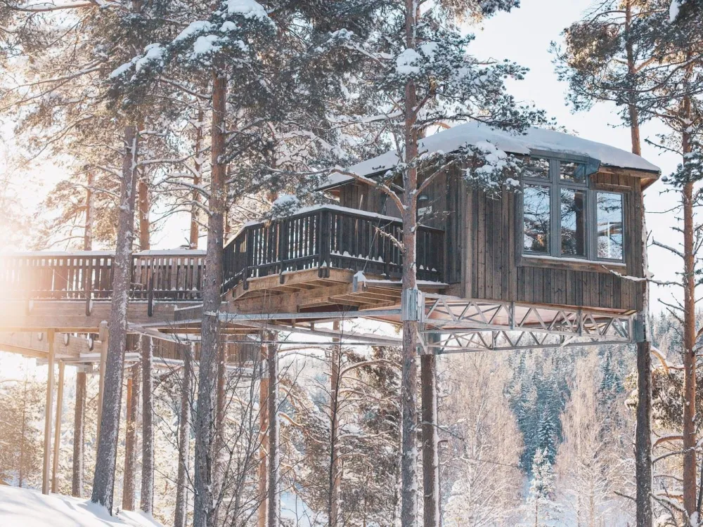 Fågelnästen - Granö Beckasin