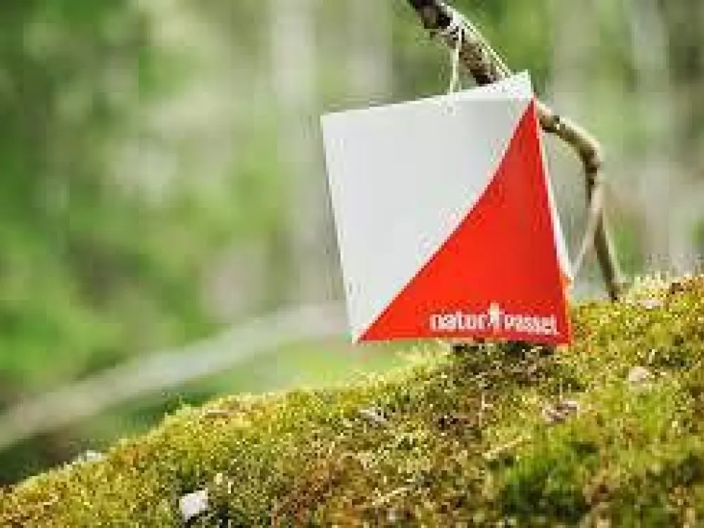 orienteringsskärm i papper hänger på en pinne i skogen