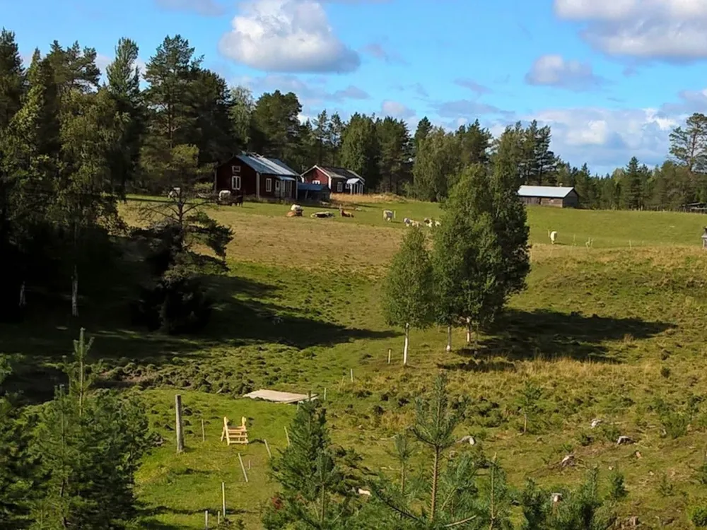 Kulturlandskap med betesmark, fäbodar och en vandringsled som går över ängen