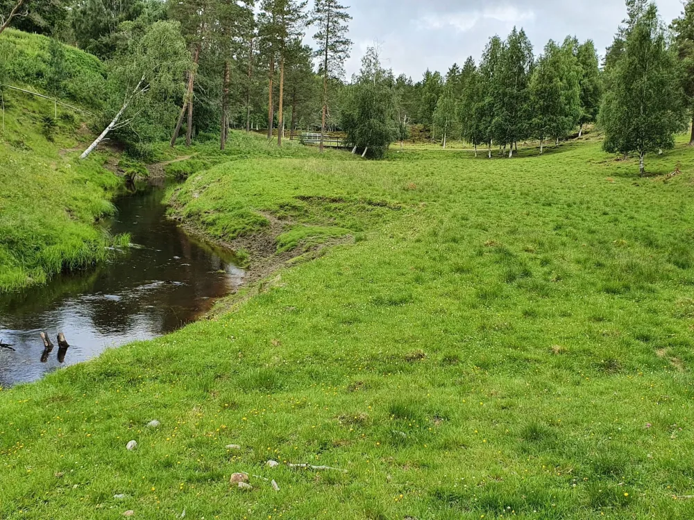 Grönskande betesmark och en stilla slingrande å, omgiven av skog