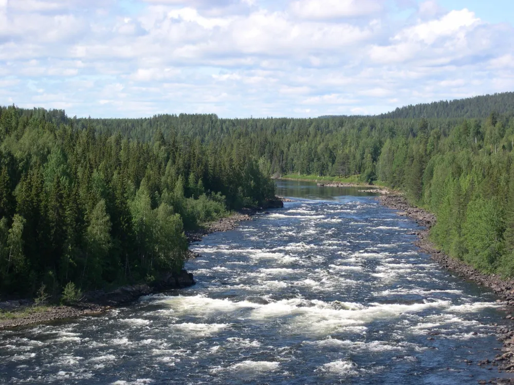a white water rapid and a woodland