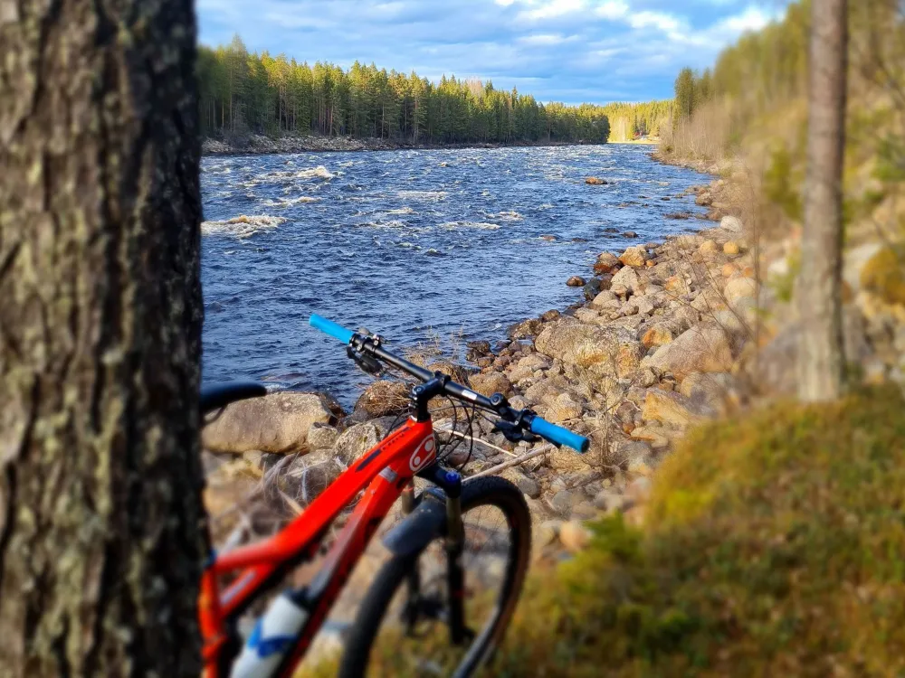 a red mountainbike leans against a tree 