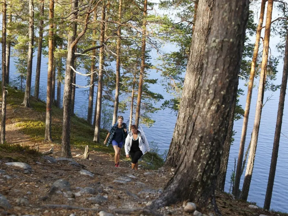 Vandrare längs en skogsstig med sjön på sidan