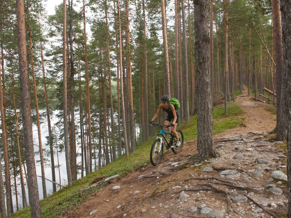 cyklist på en skogsstig på en ås med sjö vid sidan av