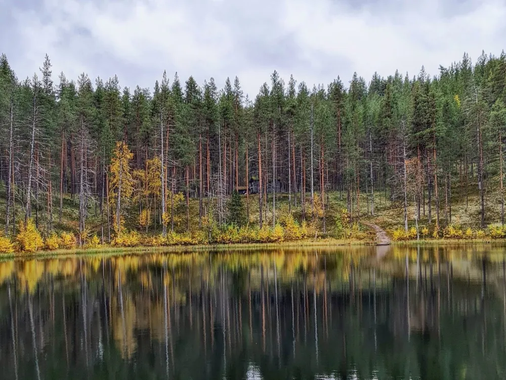 Stilla tjärn omgiven av skog i höstfärger