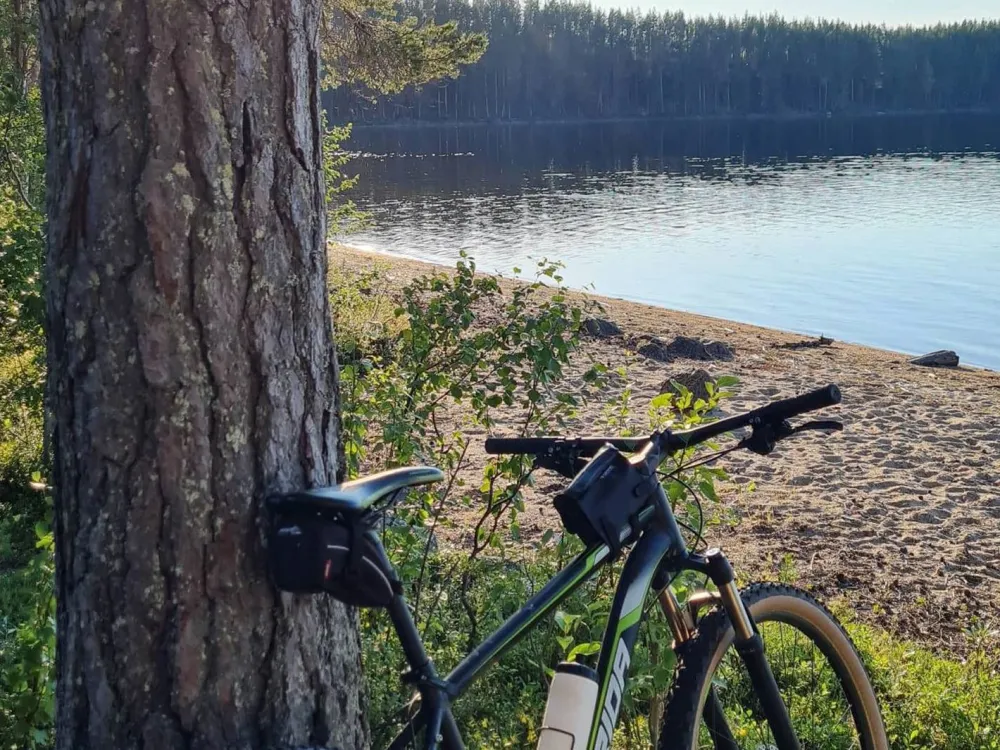 Cykel som står lutad mot ett träd invid en strand och sjö i skogen