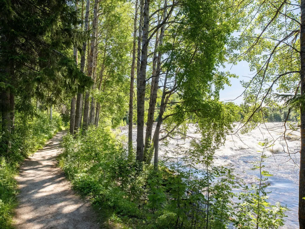 Tvåälvsleden  ”the trail of two rivers" (copy)