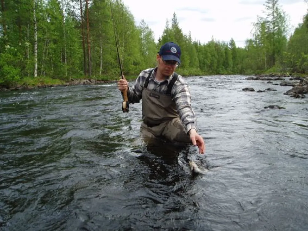 Manjaurån04FotoSvenPerman.jpg