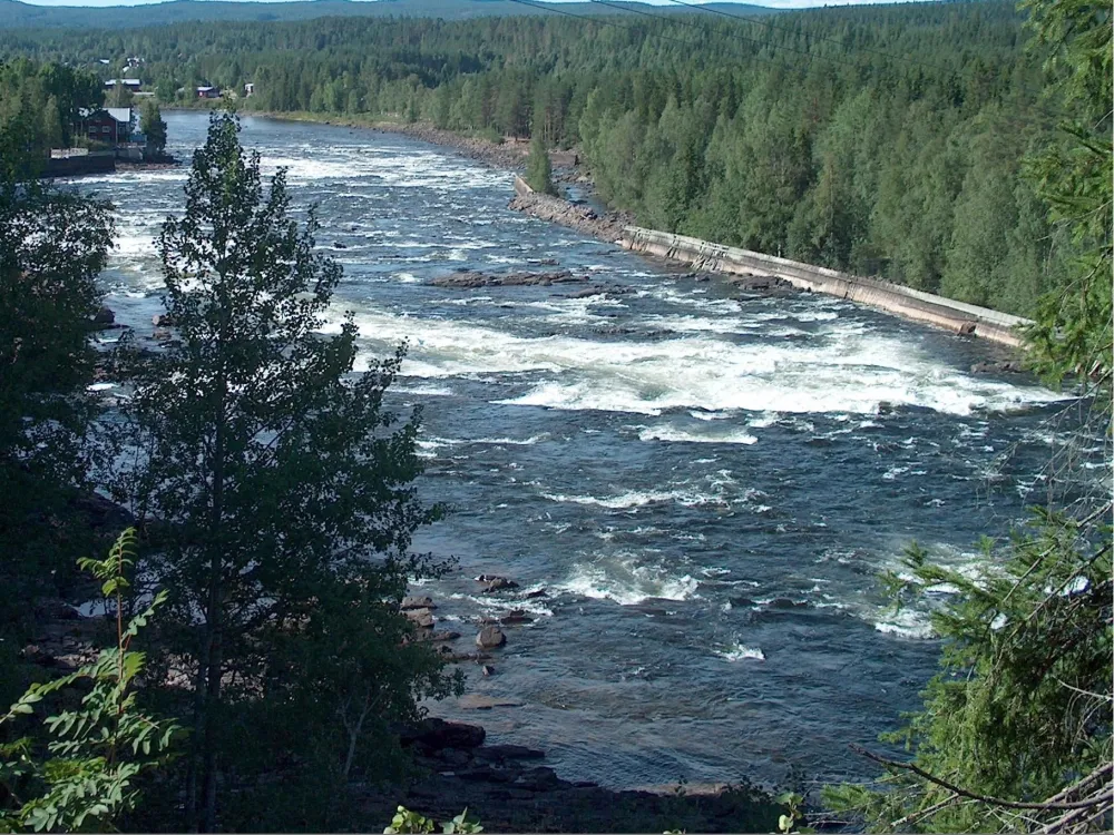 Fishing in Vindelälven