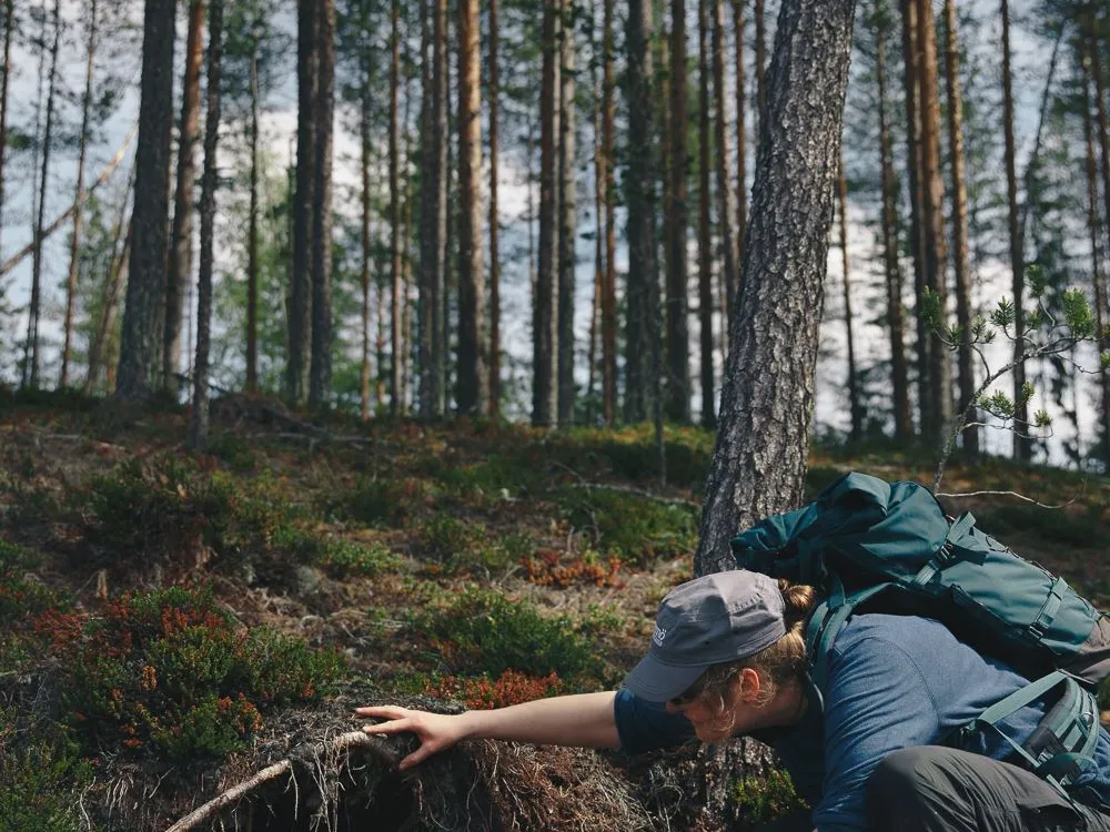 Talking trees