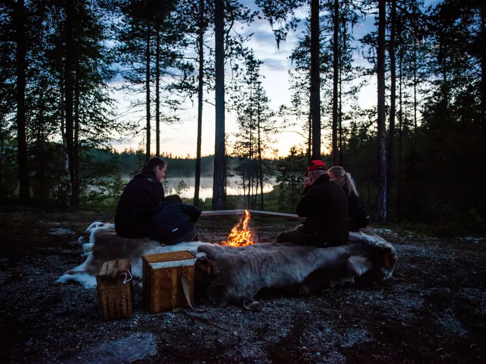 Moose safari