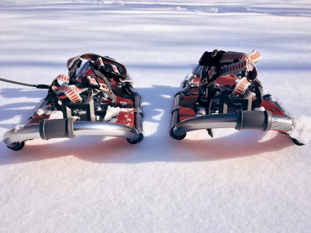 Snöskovandring