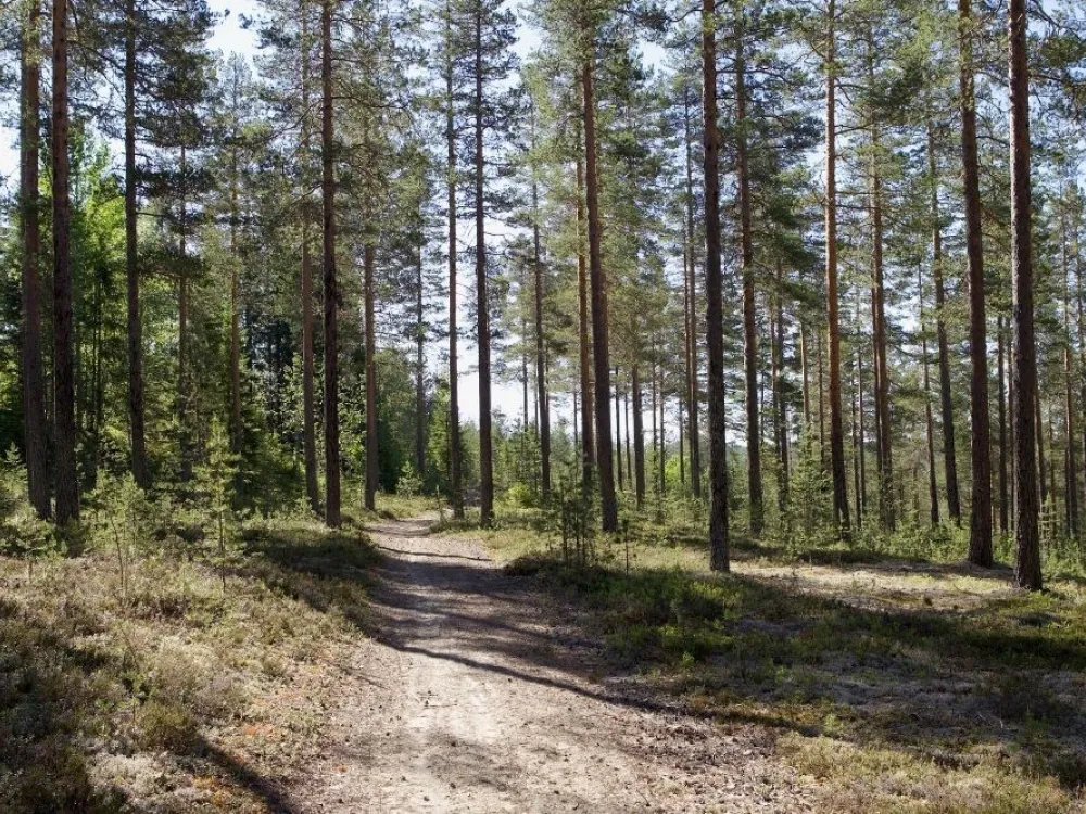 Tallbacken Fritidsby