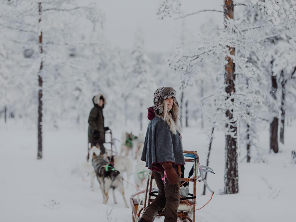 Go dog sledding in Granö