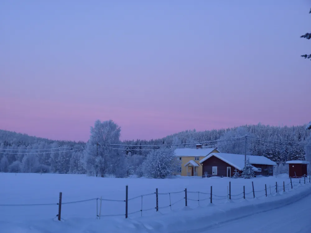 Aurora Borealis B&B 