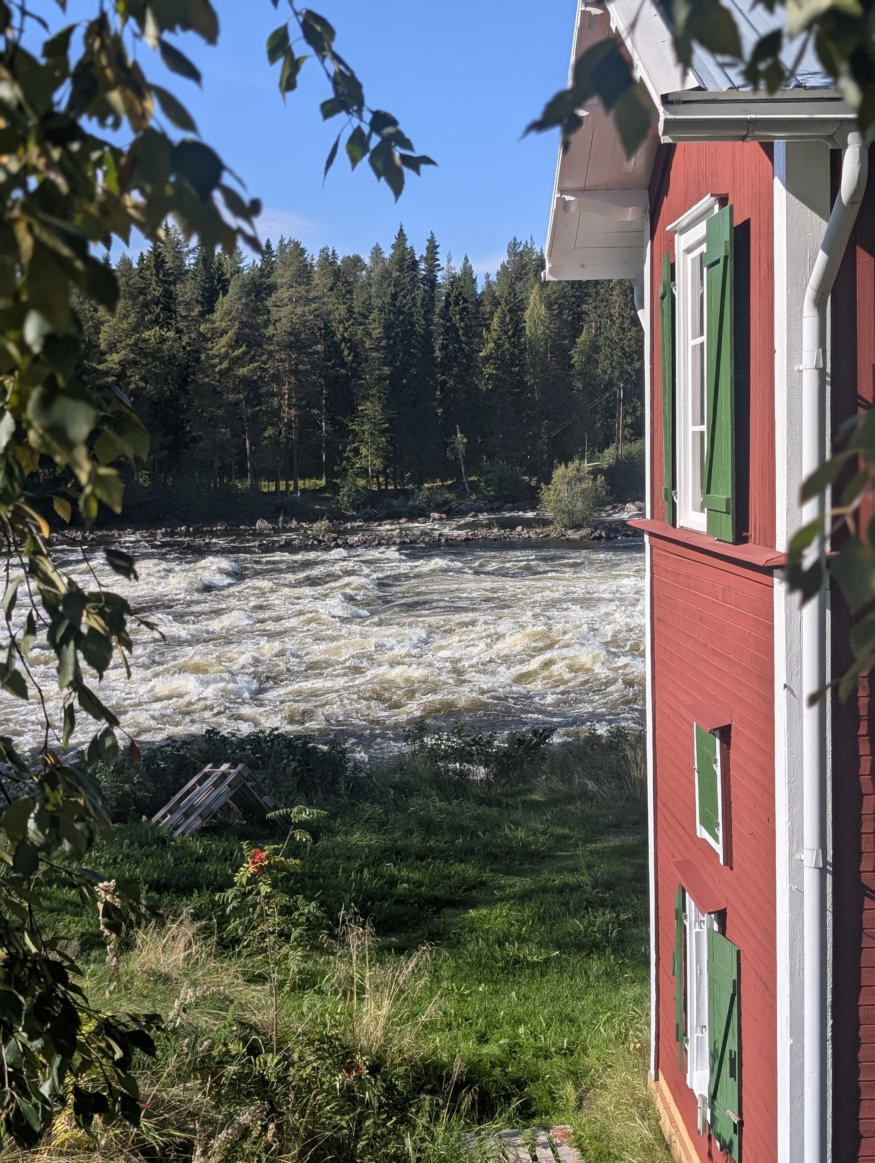 Röd kvarnbyggnad med gröna fönsterluckor intill Vindelälven.